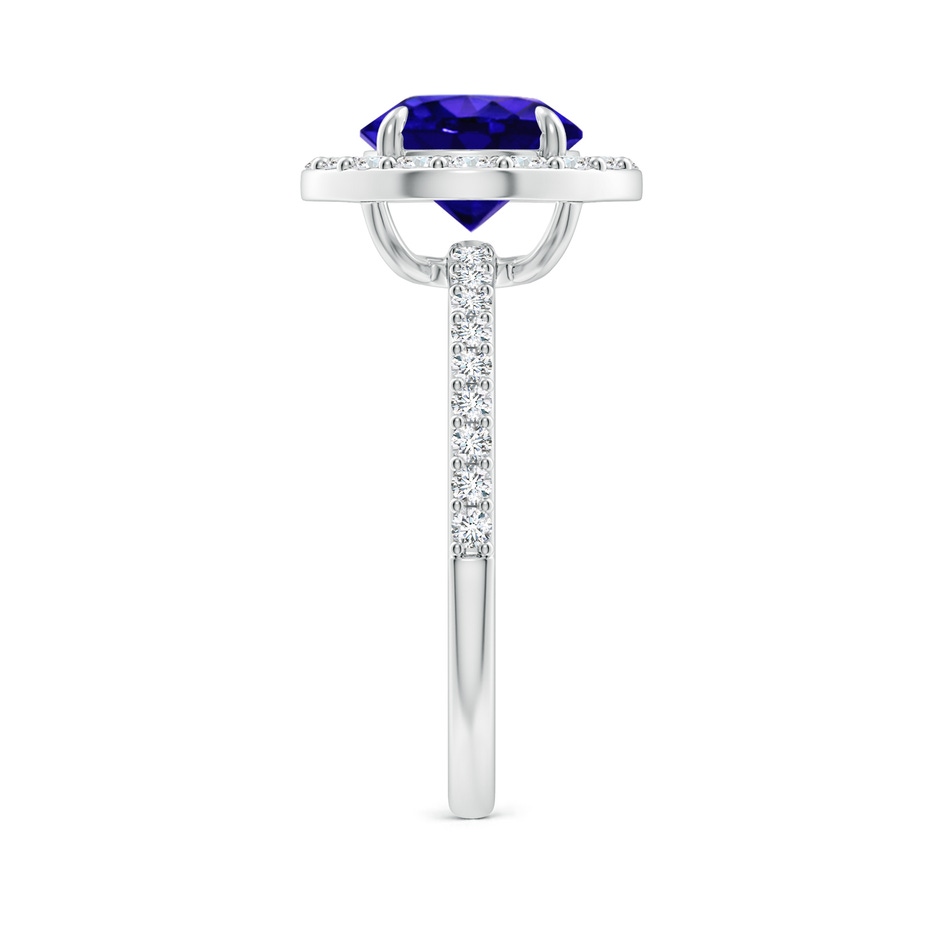 8mm AAAA Vintage Style Claw-Set Round Tanzanite Halo Ring in P950 Platinum side 299