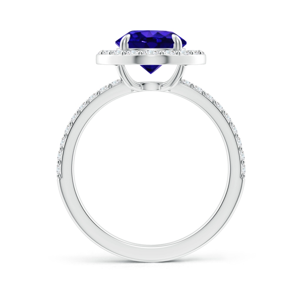 8mm AAAA Vintage Style Claw-Set Round Tanzanite Halo Ring in White Gold - side 199