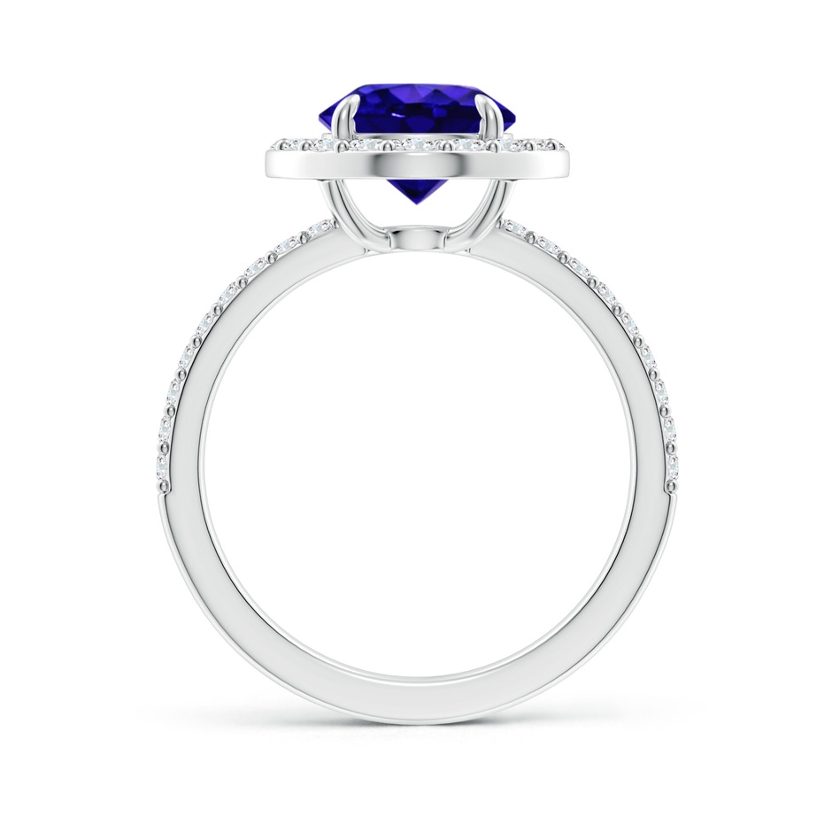 8mm AAAA Vintage Style Claw-Set Round Tanzanite Halo Ring in White Gold side 199