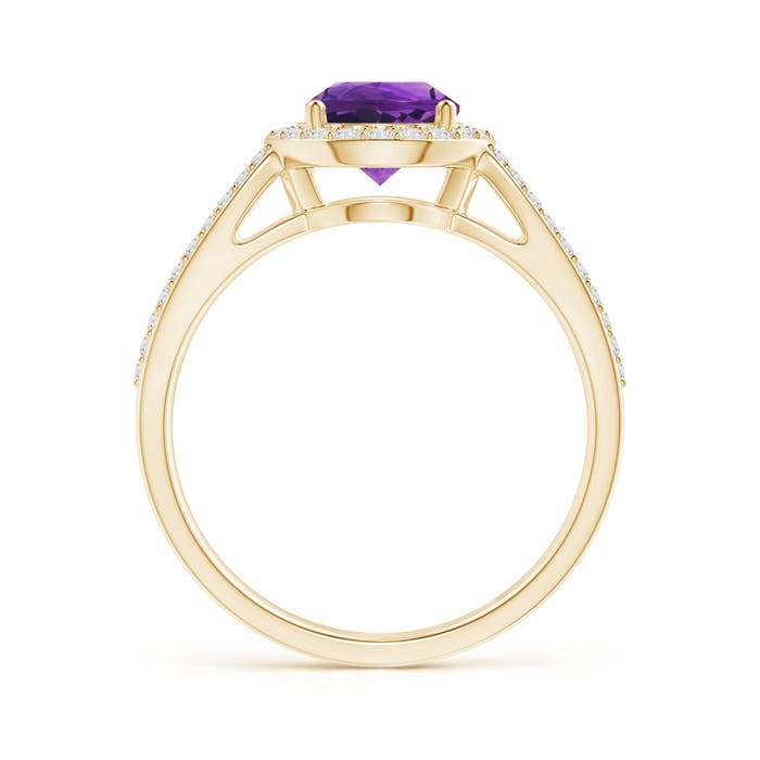 AAAA - Amethyst / 1.49 CT / 14 KT Yellow Gold