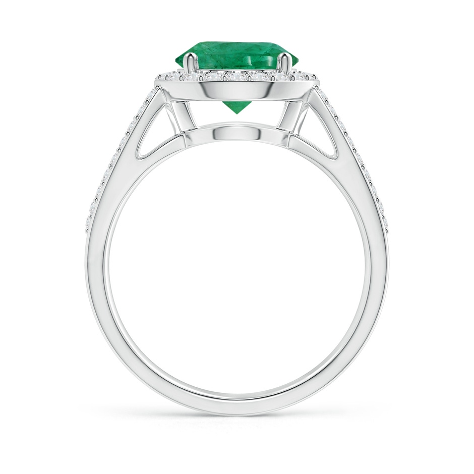 8.88x8.73x5.43mm AA GIA Certified Vintage Style Emerald Ring with Diamond Halo in P950 Platinum side 199