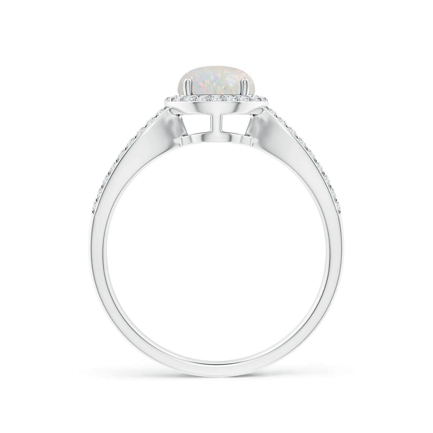 AA - Opal / 0.78 CT / 14 KT White Gold