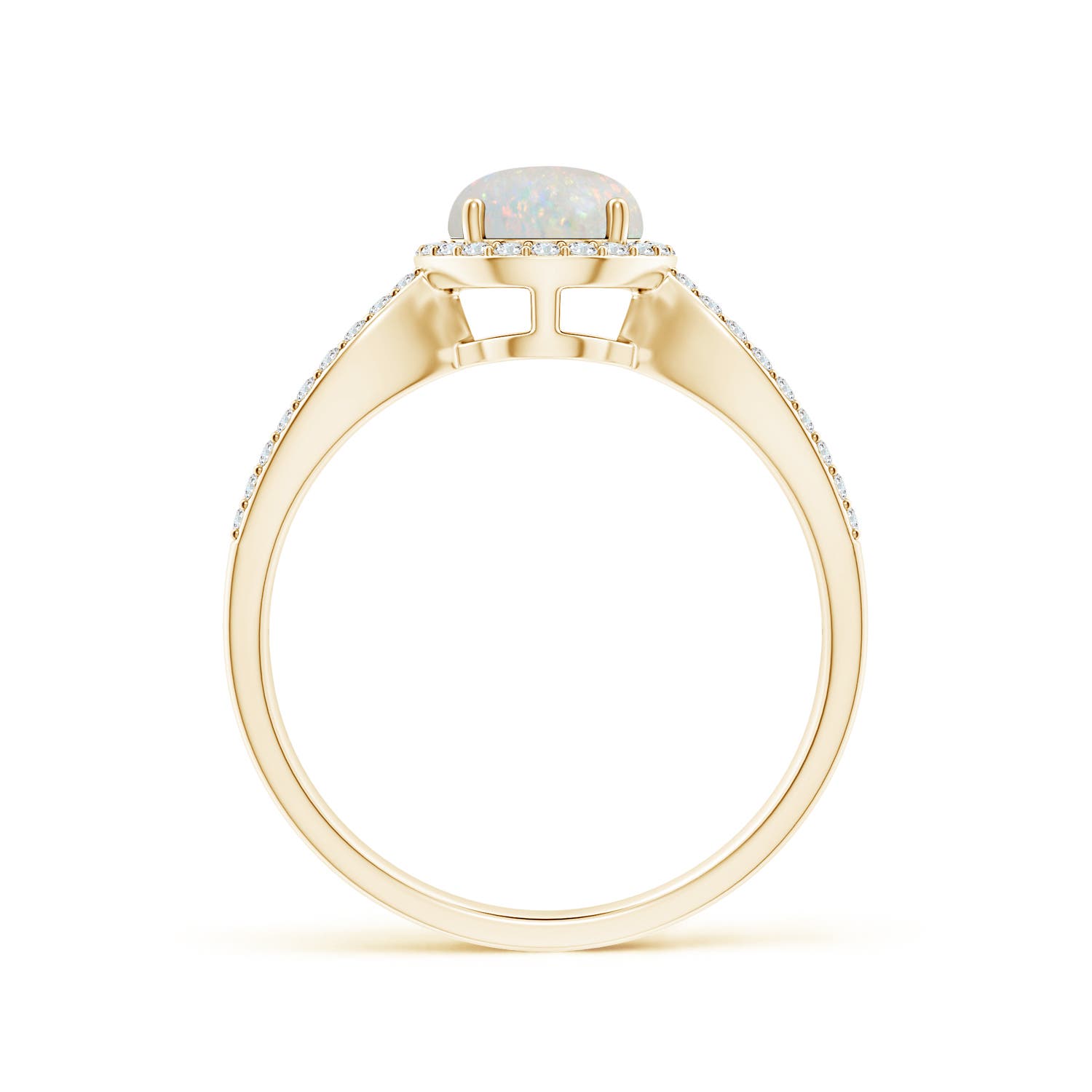 AA - Opal / 0.78 CT / 14 KT Yellow Gold