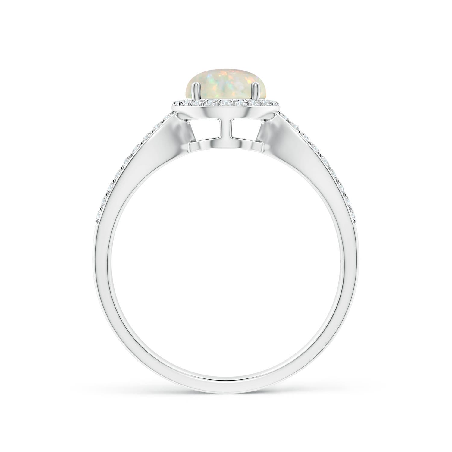 AAA - Opal / 0.78 CT / 14 KT White Gold