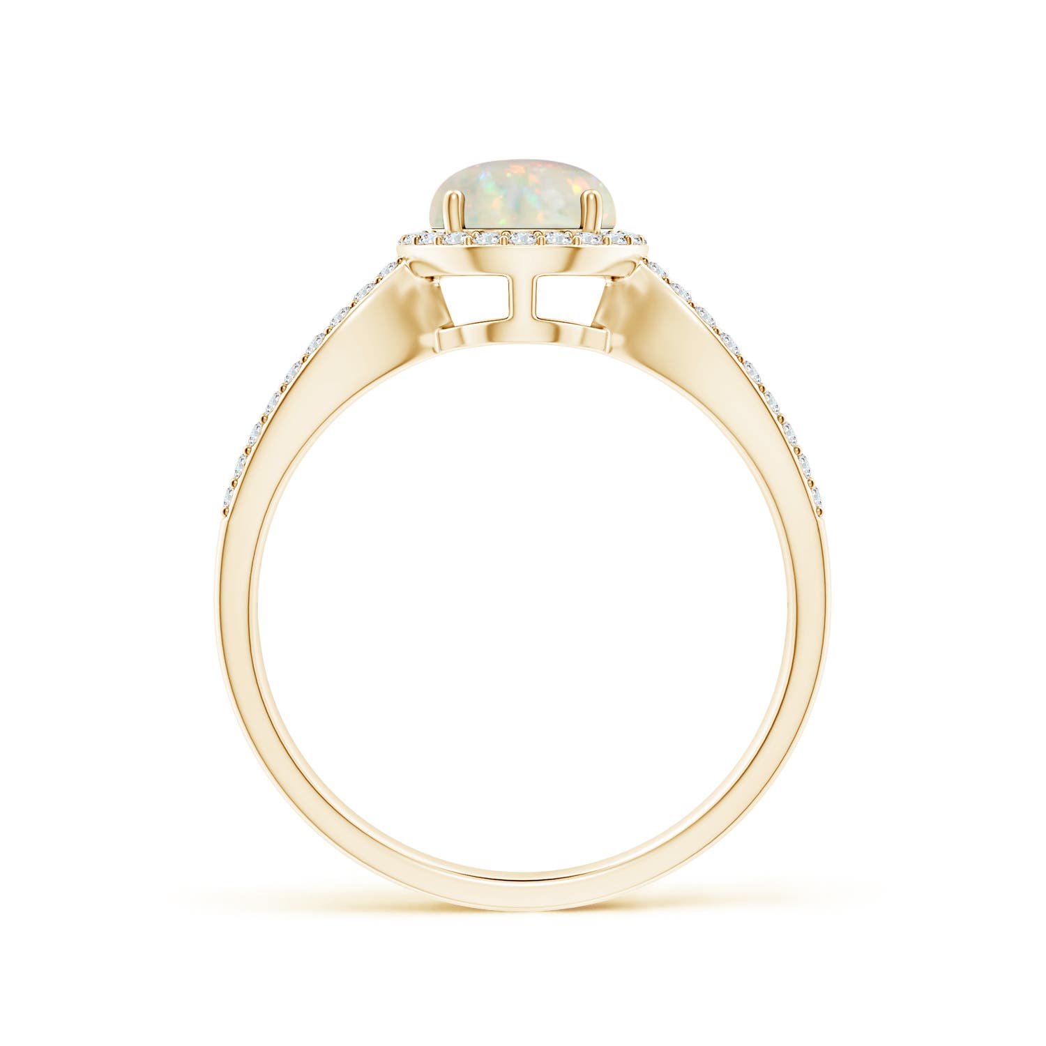 AAA - Opal / 0.78 CT / 14 KT Yellow Gold