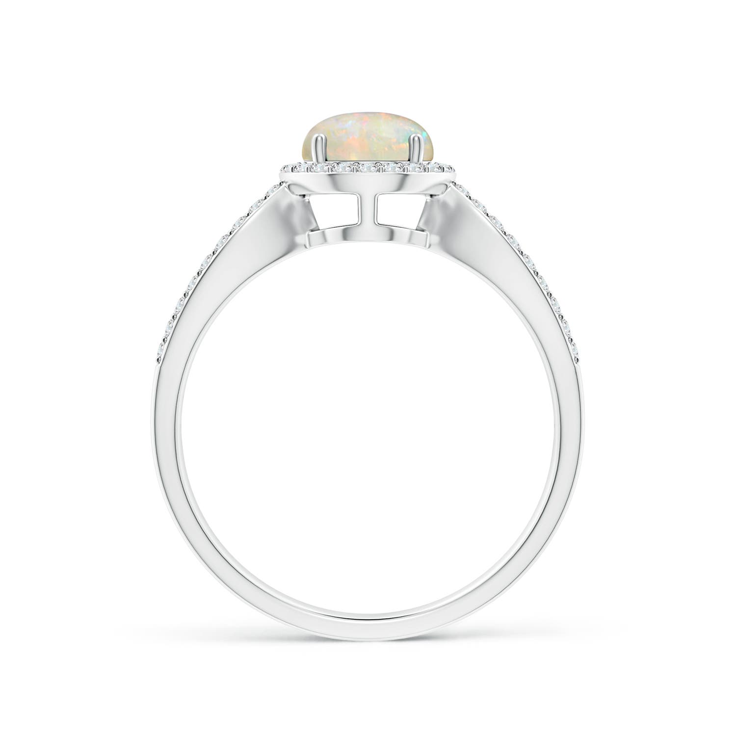 AAAA - Opal / 0.78 CT / 14 KT White Gold