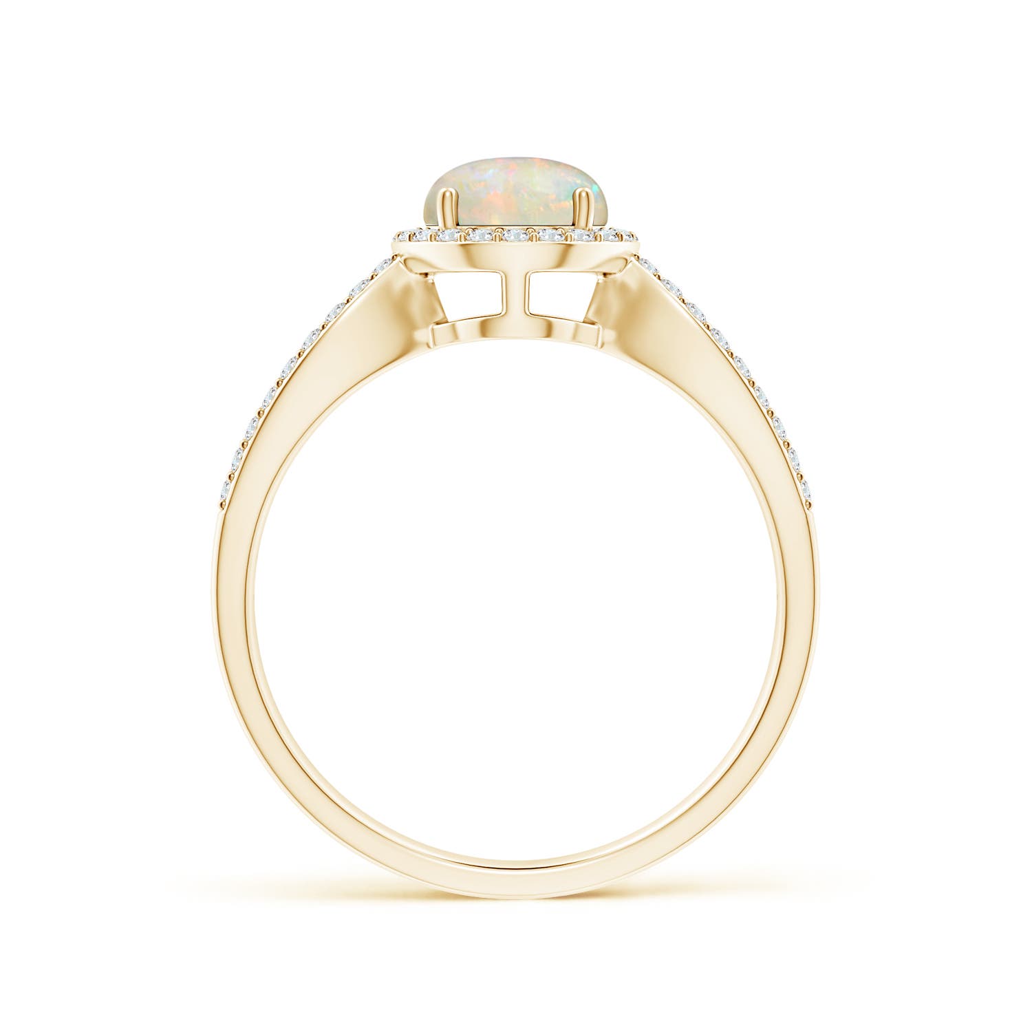 AAAA - Opal / 0.78 CT / 14 KT Yellow Gold