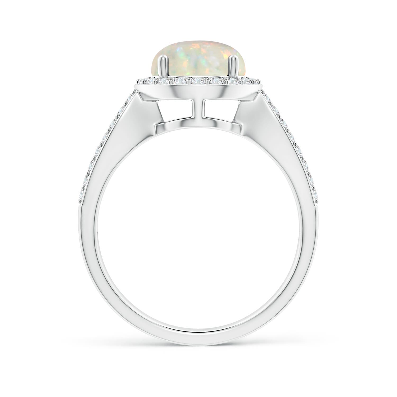 AAA - Opal / 1.61 CT / 14 KT White Gold