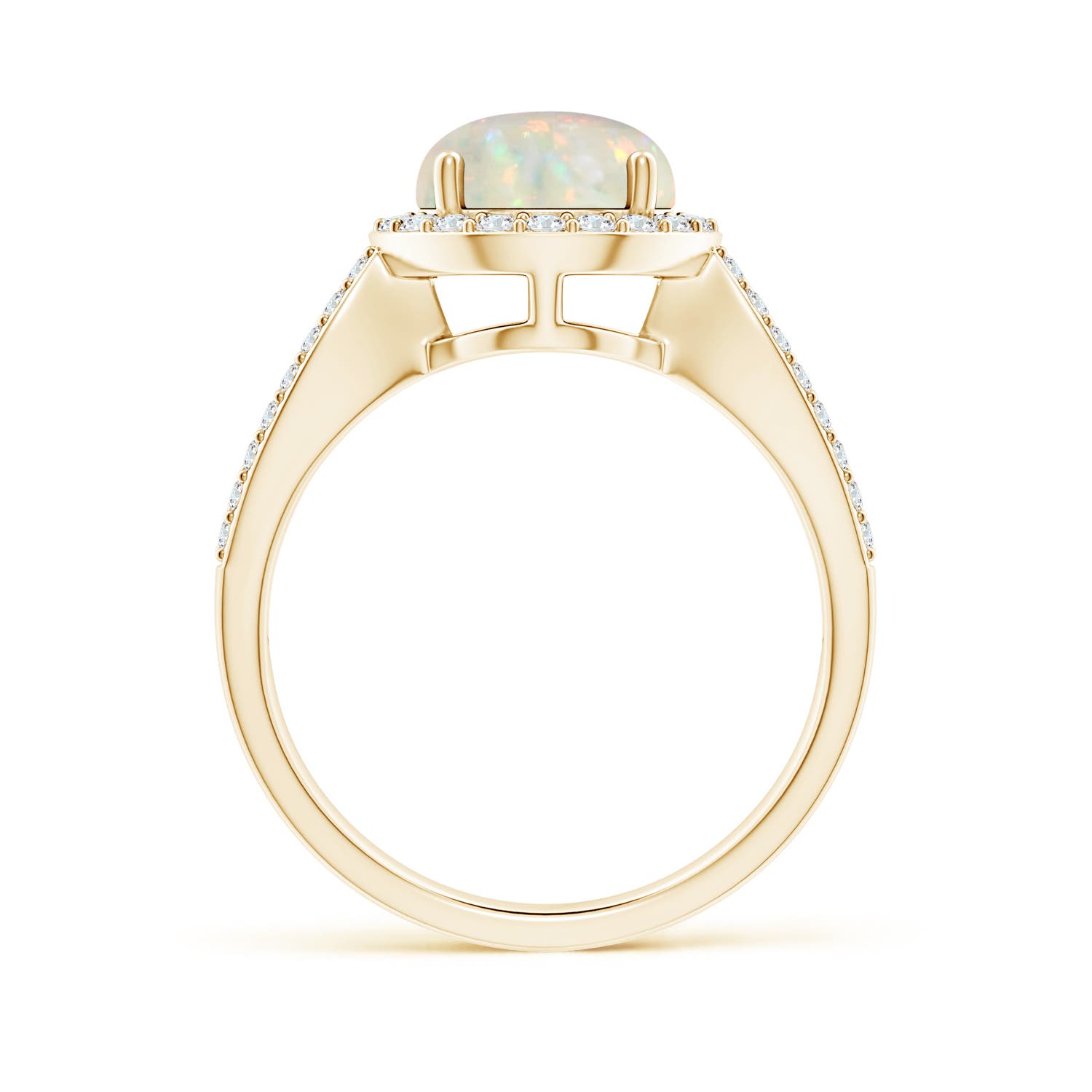 AAA - Opal / 1.61 CT / 14 KT Yellow Gold