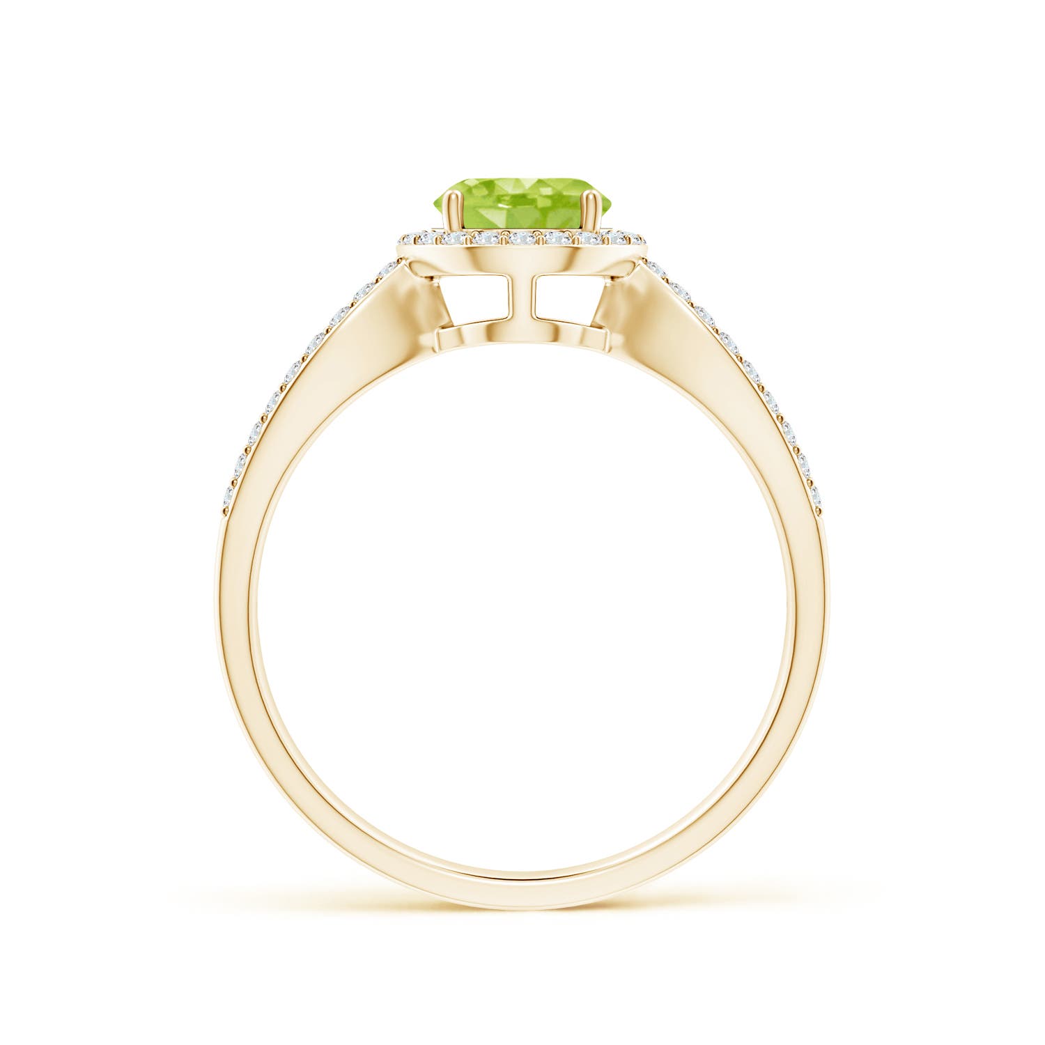 AA - Peridot / 1.23 CT / 14 KT Yellow Gold