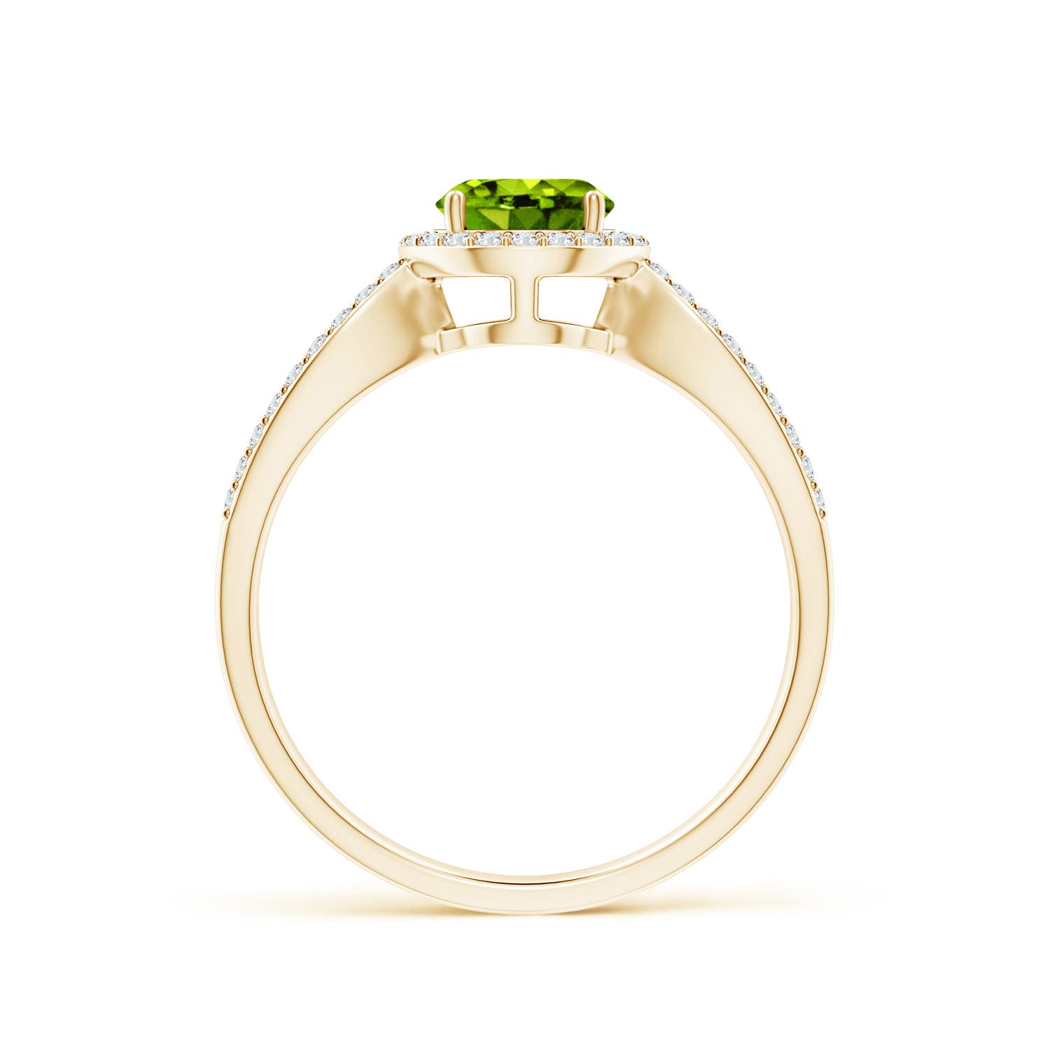 AAAA - Peridot / 1.23 CT / 14 KT Yellow Gold