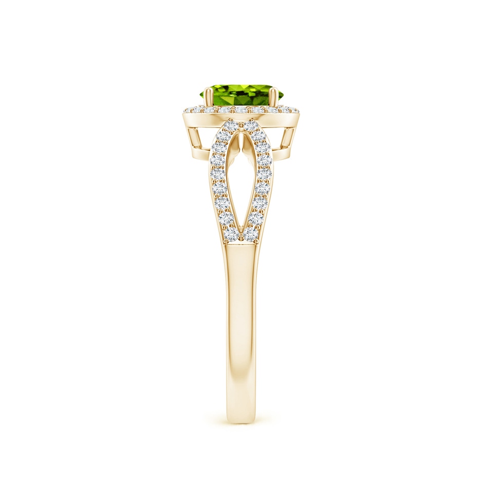 6mm AAAA Vintage Style Peridot Split Shank Ring with Diamond Halo in Yellow Gold side 2