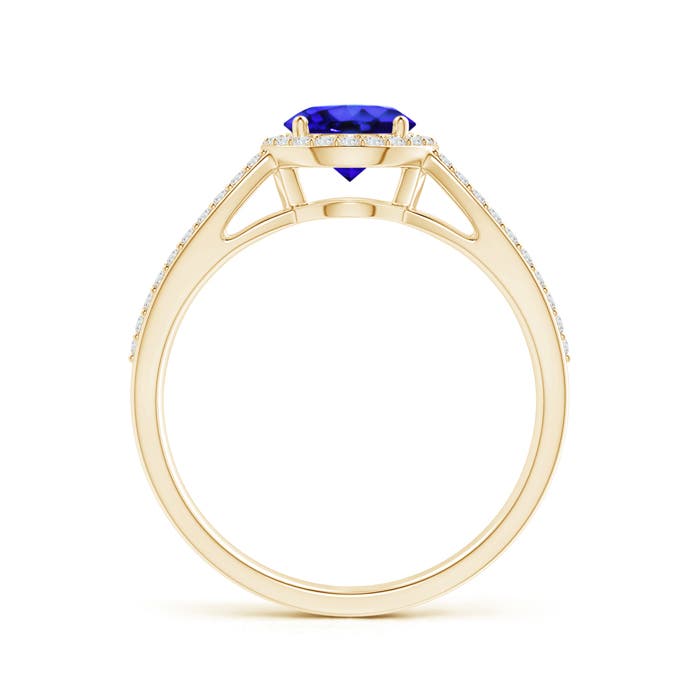 AAA - Tanzanite / 1.18 CT / 14 KT Yellow Gold