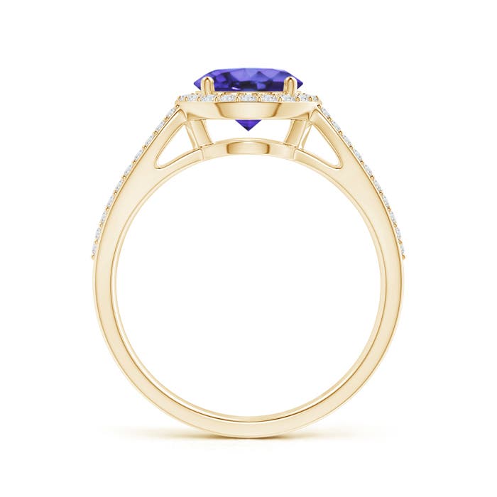 AA - Tanzanite / 1.79 CT / 14 KT Yellow Gold