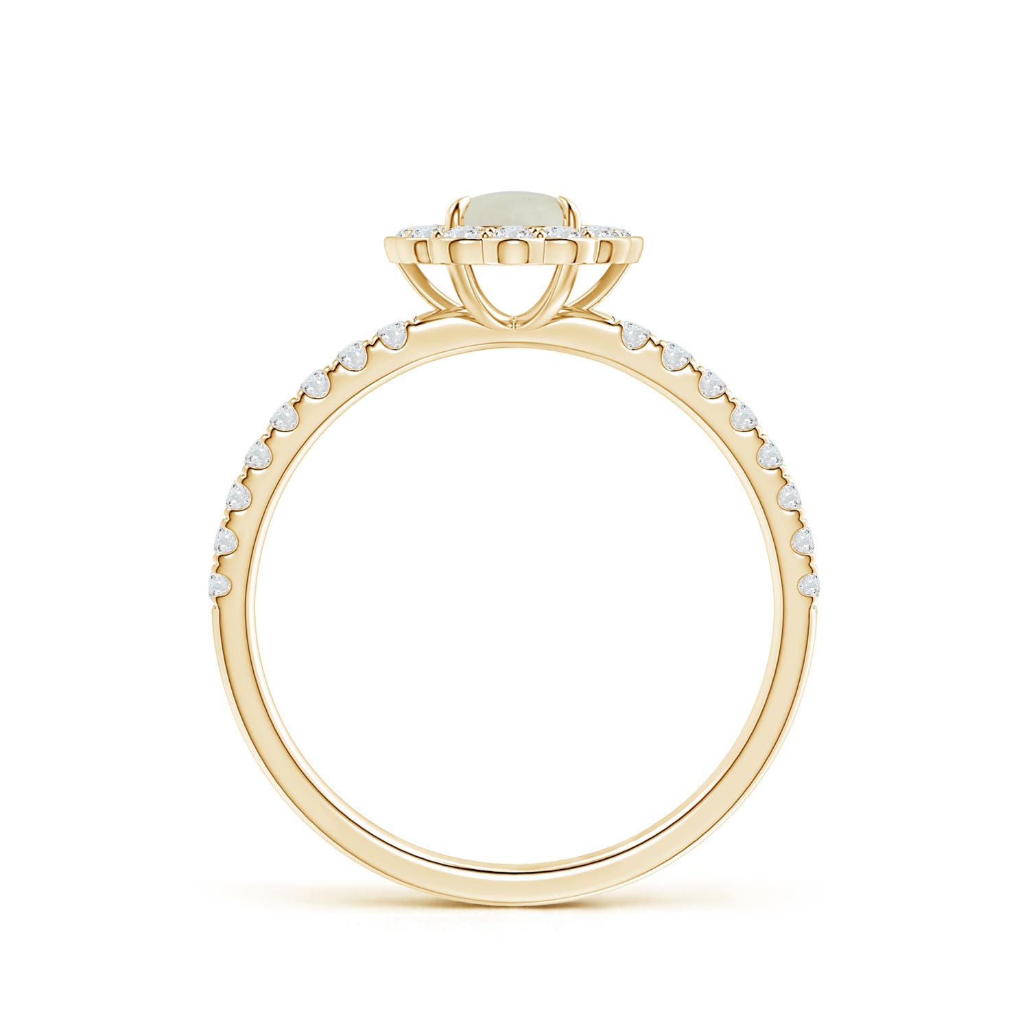 AA - Moonstone / 0.75 CT / 14 KT Yellow Gold