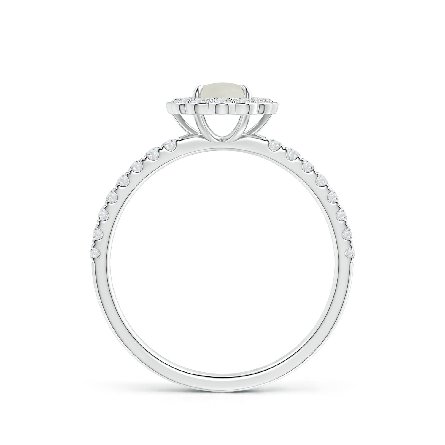 AAA - Moonstone / 0.75 CT / 14 KT White Gold