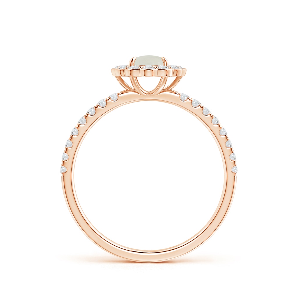 5mm AAAA Vintage Style Moonstone Flower Ring with Diamond Accents in Rose Gold - side 199