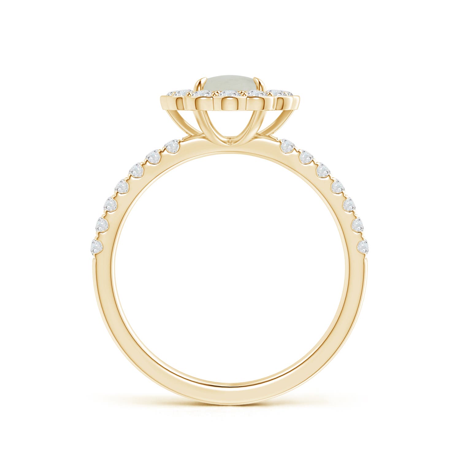 A - Moonstone / 1.32 CT / 14 KT Yellow Gold