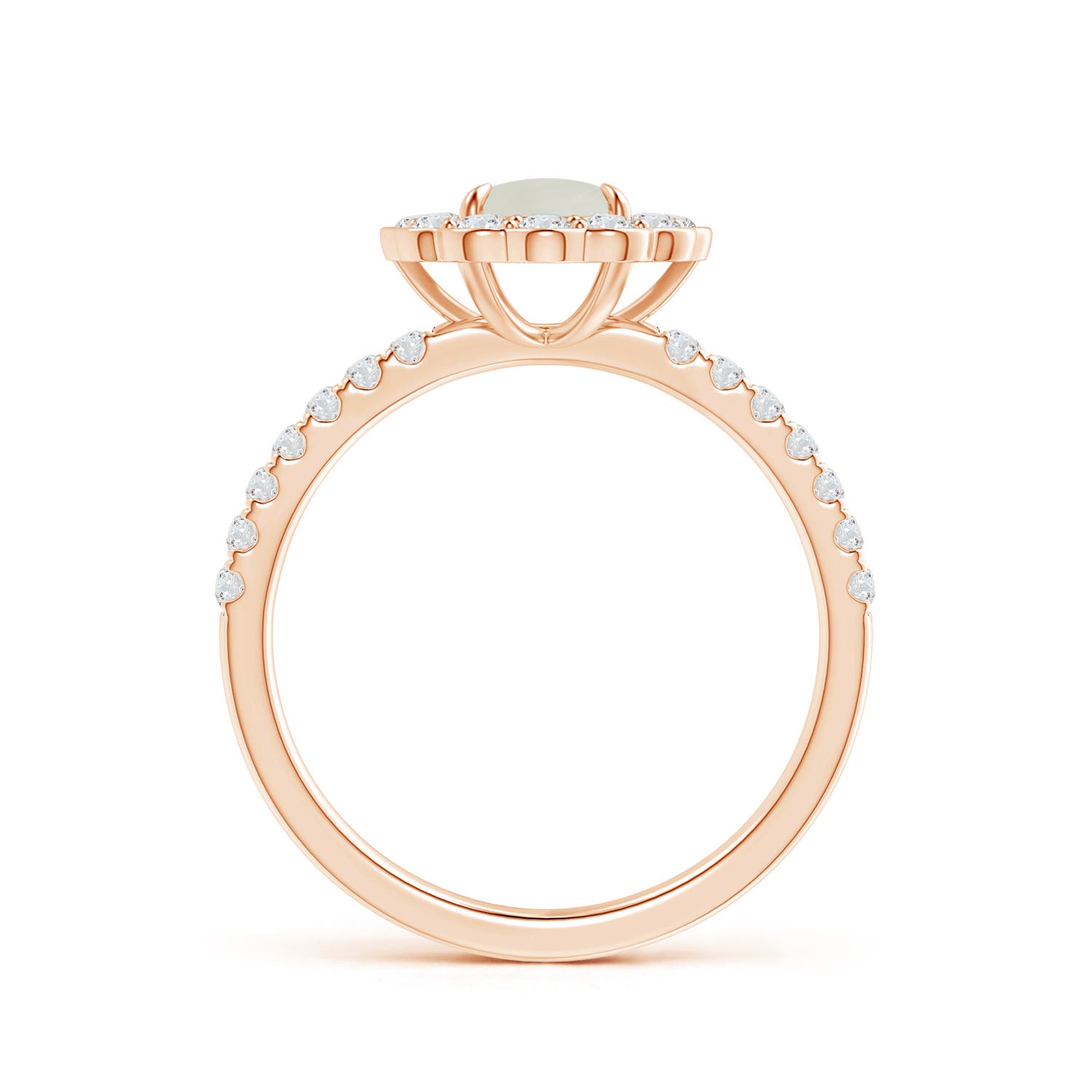 AAA - Moonstone / 1.32 CT / 14 KT Rose Gold