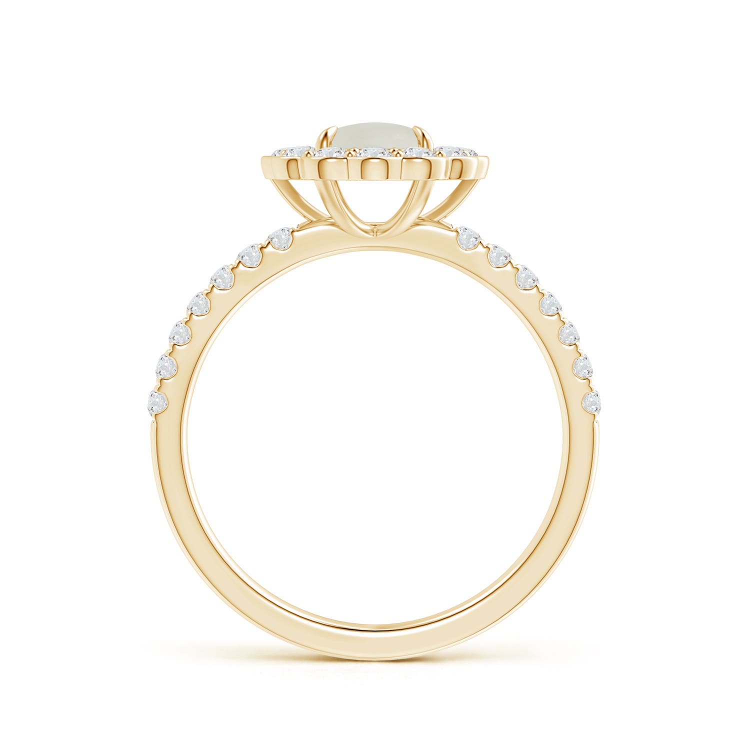 AAA - Moonstone / 1.32 CT / 14 KT Yellow Gold