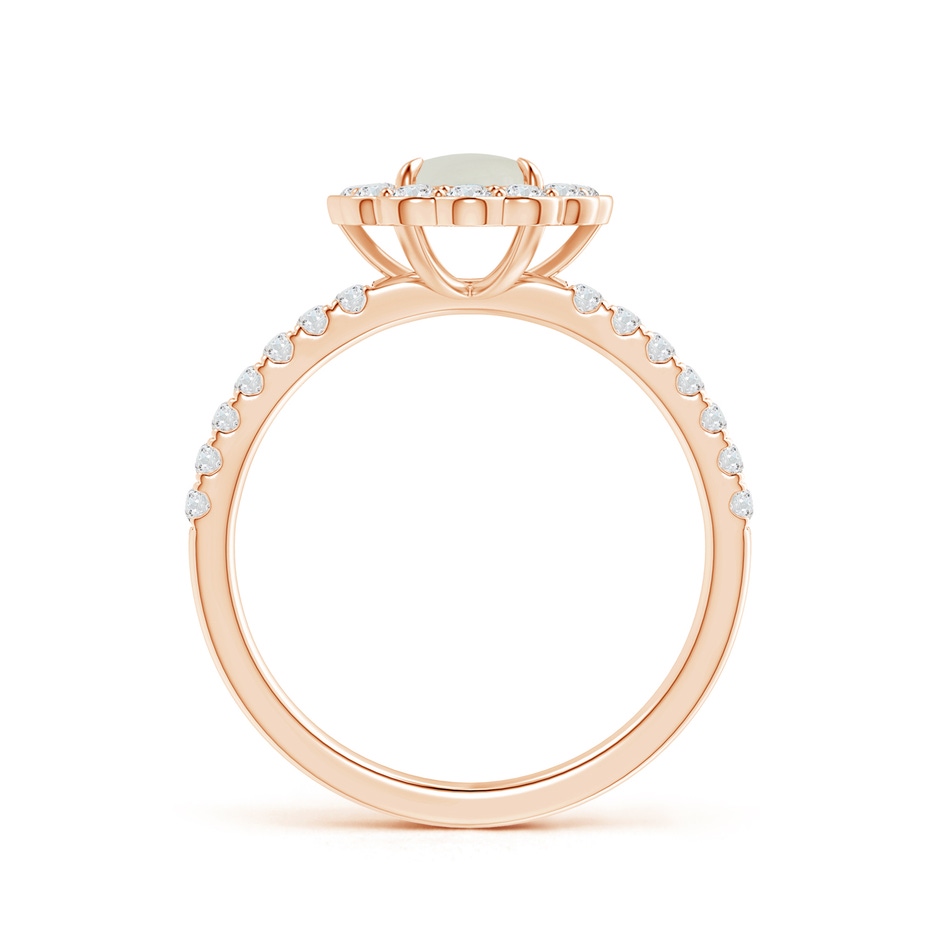6mm AAAA Vintage Style Moonstone Flower Ring with Diamond Accents in Rose Gold side 199