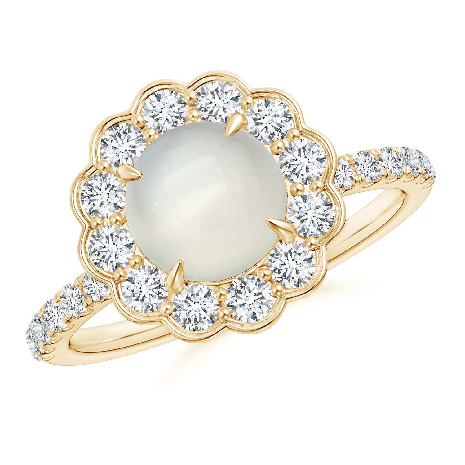 AAA - Moonstone / 1.91 CT / 14 KT Yellow Gold