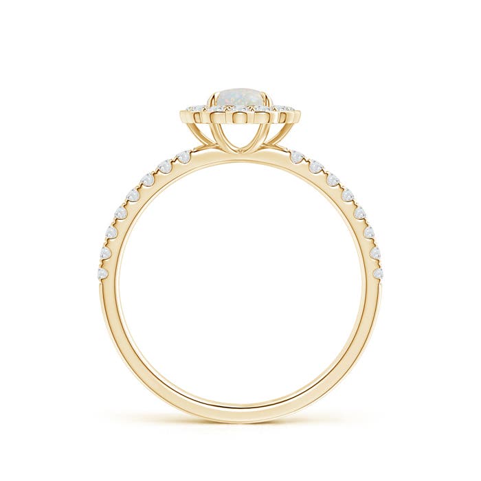 AA - Opal / 0.63 CT / 14 KT Yellow Gold