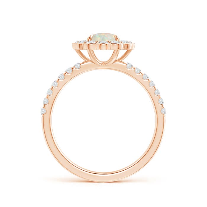 AAA - Opal / 1.02 CT / 14 KT Rose Gold