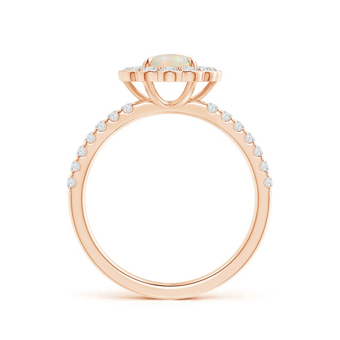 AAAA - Opal / 1.02 CT / 14 KT Rose Gold