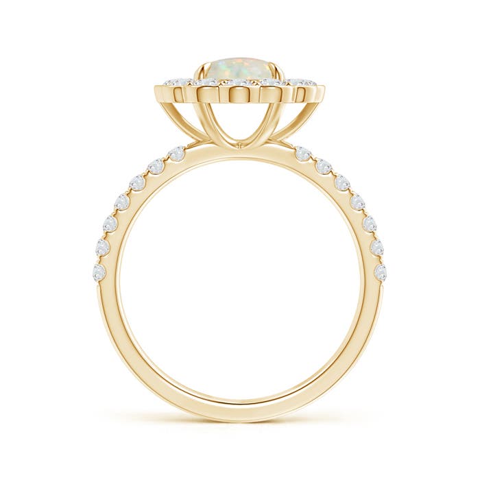 AAA - Opal / 1.41 CT / 14 KT Yellow Gold