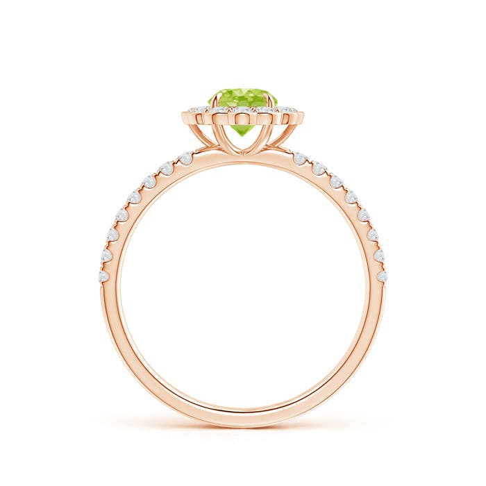 AA - Peridot / 0.85 CT / 14 KT Rose Gold