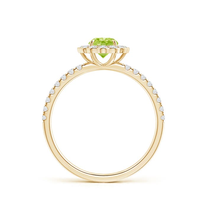 AA - Peridot / 0.85 CT / 14 KT Yellow Gold