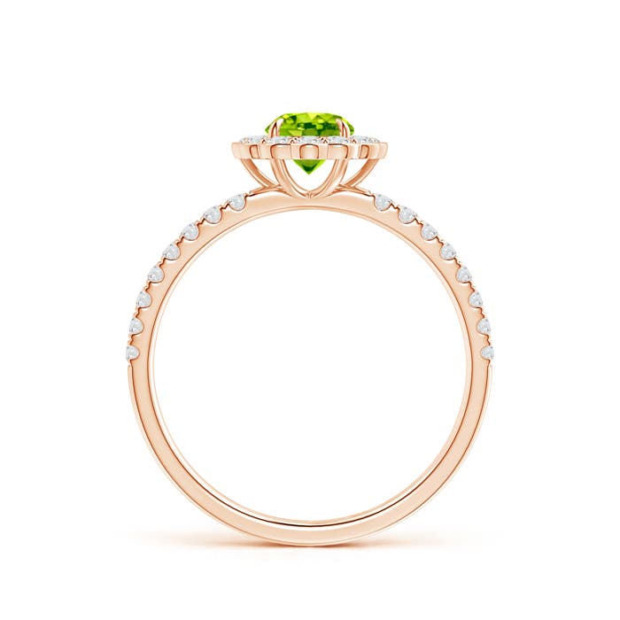 AAA - Peridot / 0.85 CT / 14 KT Rose Gold