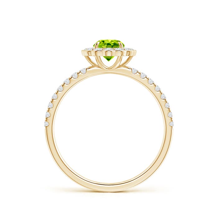 AAA - Peridot / 0.85 CT / 14 KT Yellow Gold