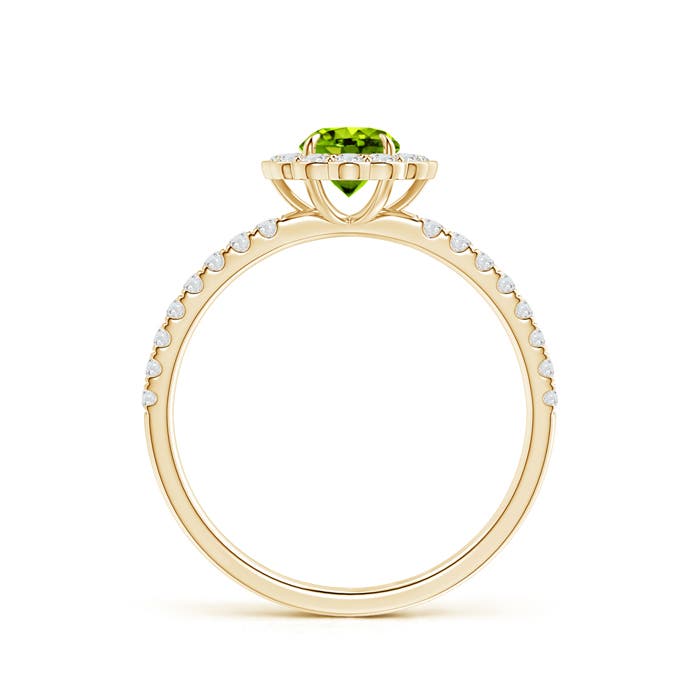 AAAA - Peridot / 0.85 CT / 14 KT Yellow Gold