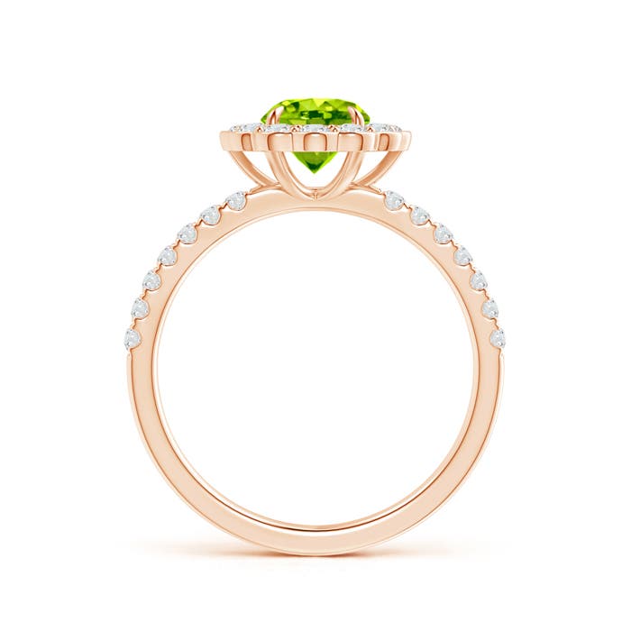 AAA - Peridot / 1.47 CT / 14 KT Rose Gold