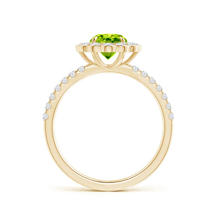 AAA - Peridot / 1.47 CT / 14 KT Yellow Gold