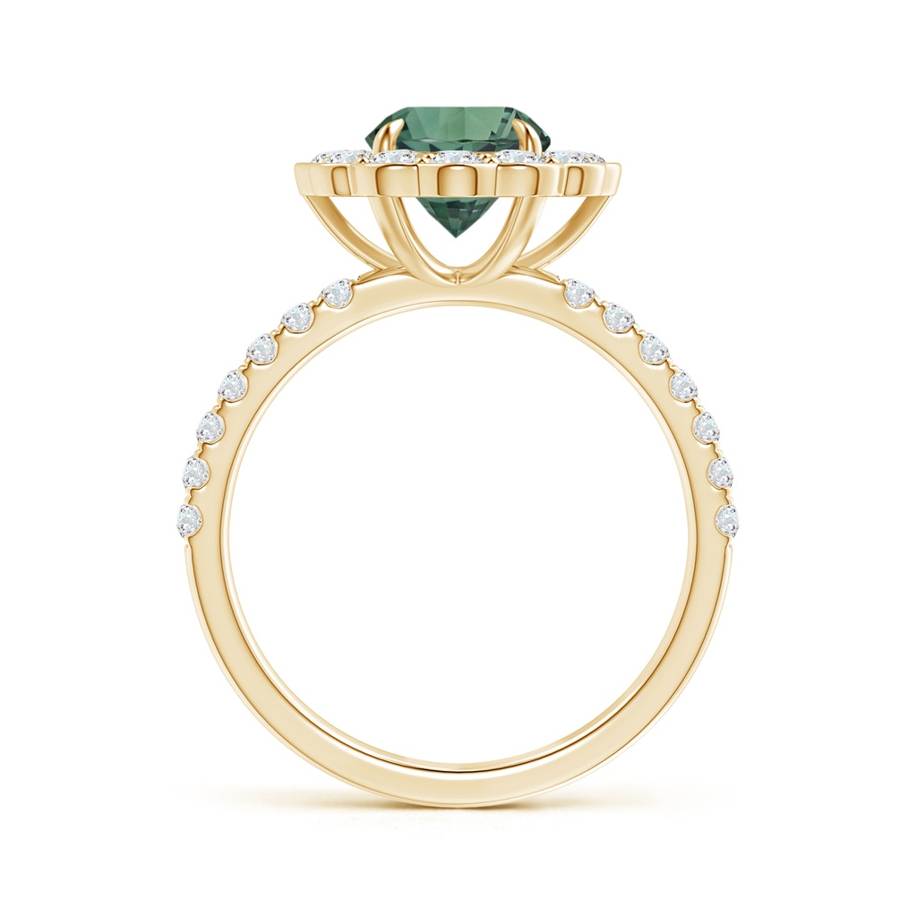 7.50-7.57x5.13mm AAA Vintage Style GIA Certified Teal montana sapphire Flower Ring with Diamonds in Yellow Gold - side 199