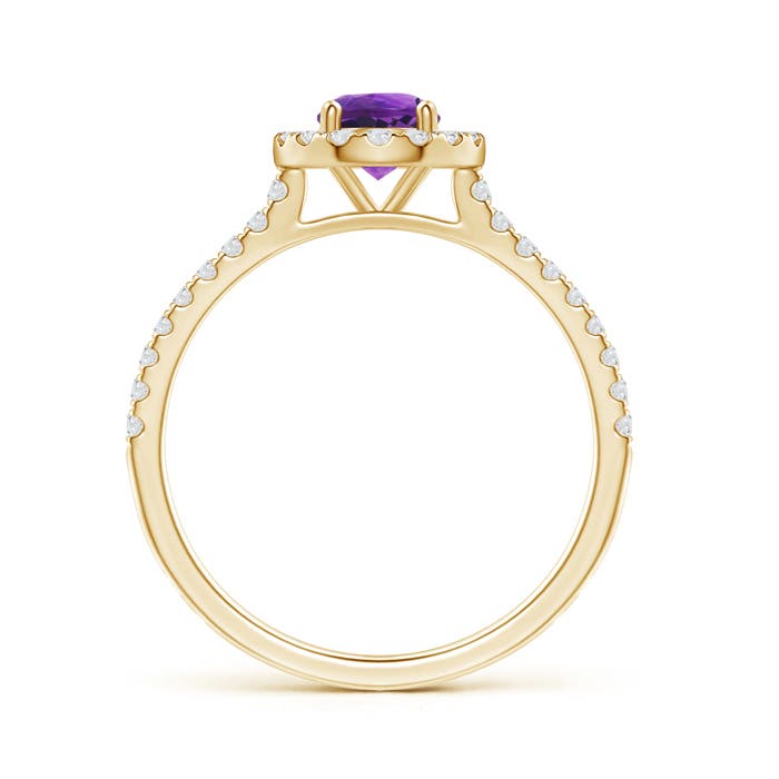 AAAA - Amethyst / 0.72 CT / 14 KT Yellow Gold