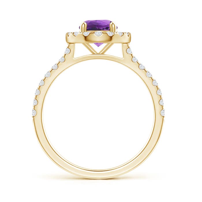 AAA - Amethyst / 1.18 CT / 14 KT Yellow Gold