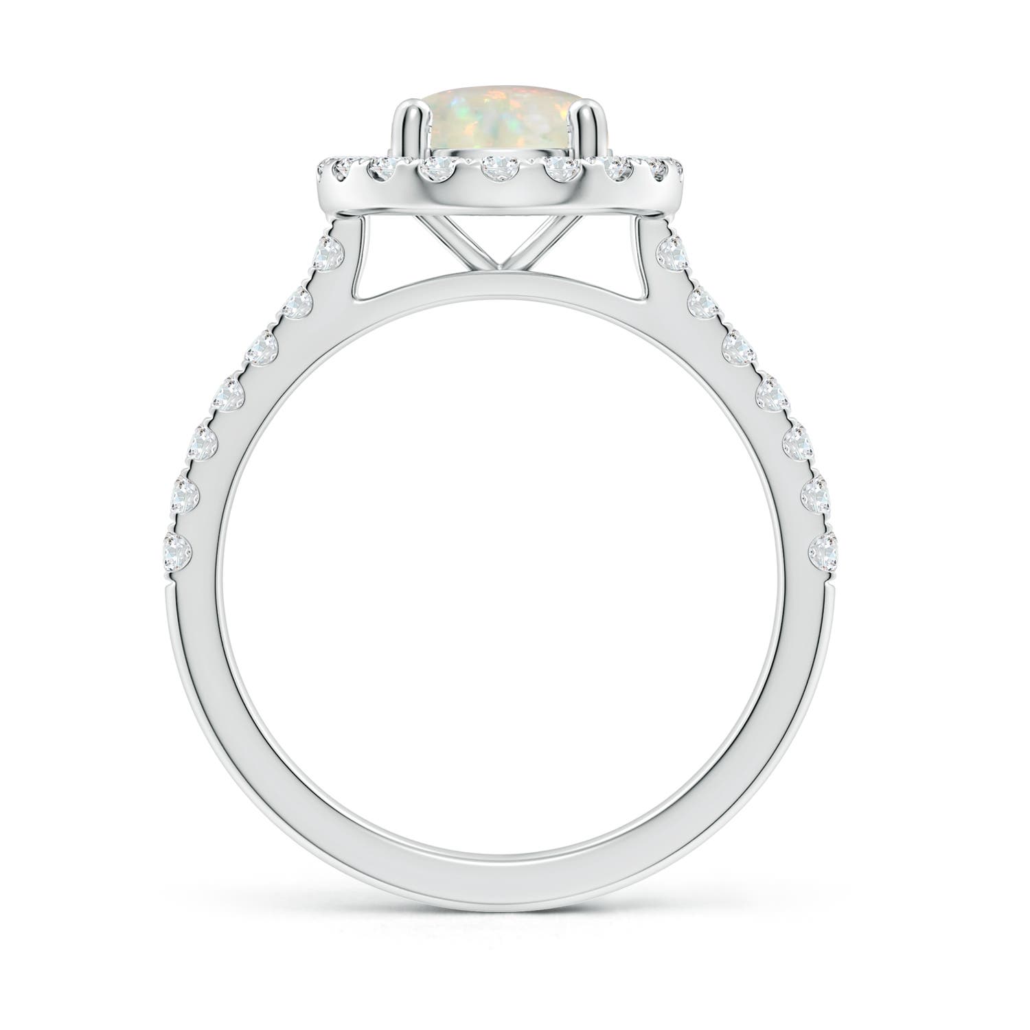 AAA - Opal / 1.2 CT / 14 KT White Gold