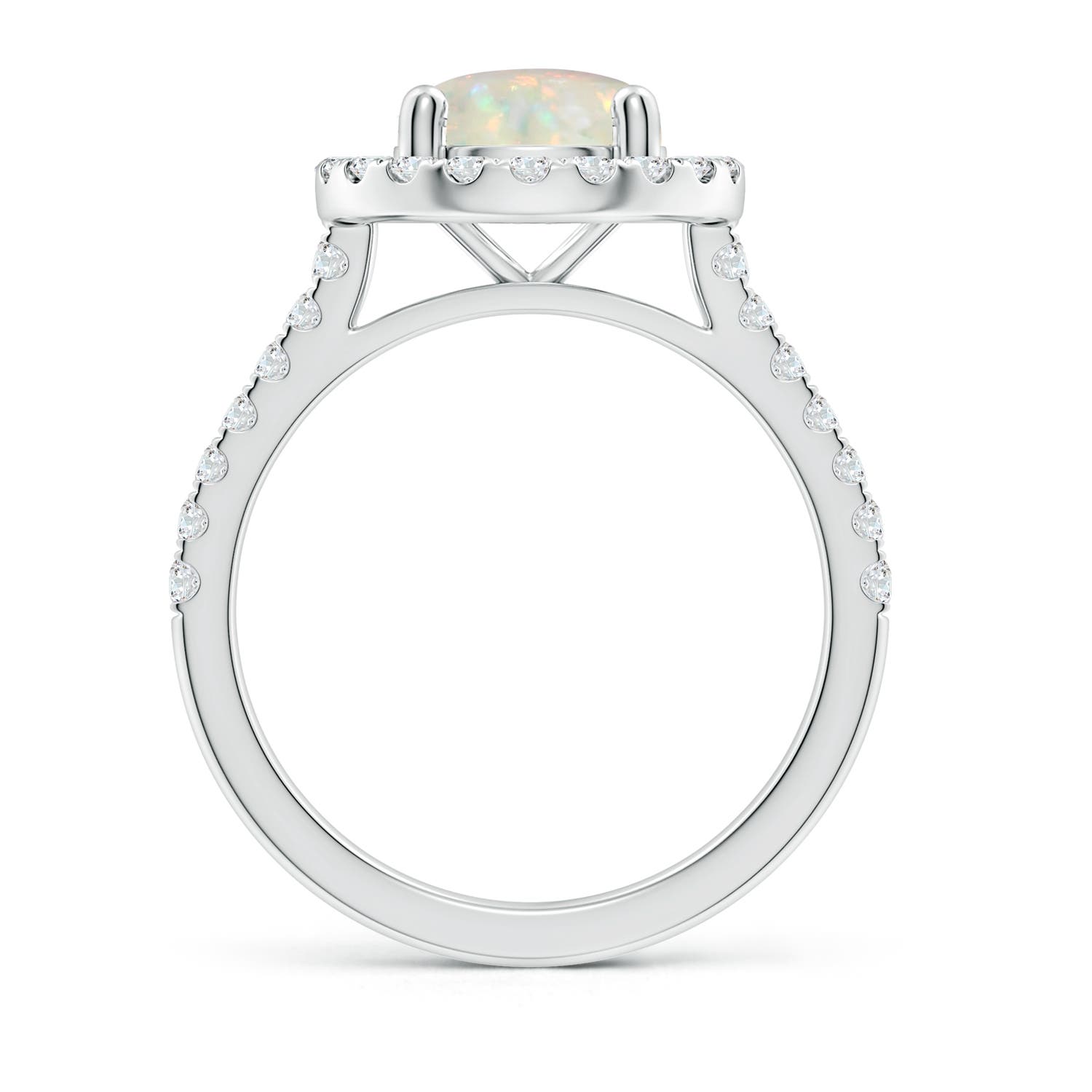 AAA - Opal / 1.63 CT / 14 KT White Gold