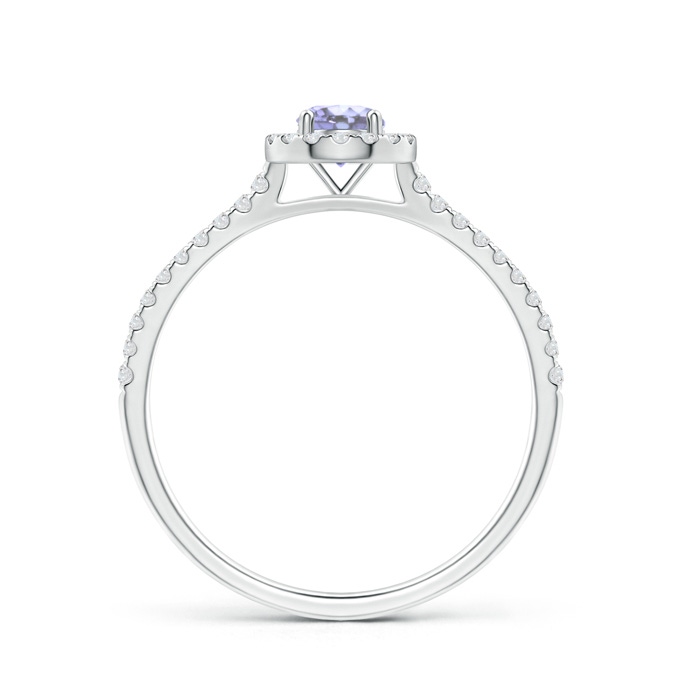 4mm A Floating Tanzanite Halo Ring with Diamond Accents in P950 Platinum side-1