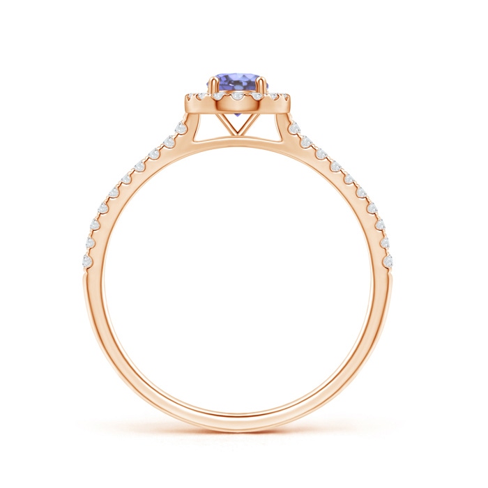 4mm AA Floating Tanzanite Halo Ring with Diamond Accents in Rose Gold side-1