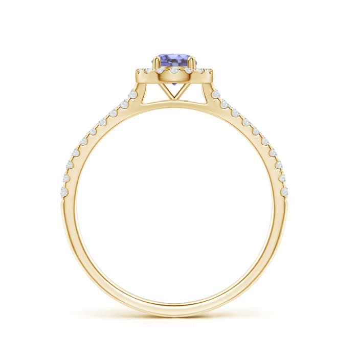 AA - Tanzanite / 0.43 CT / 14 KT Yellow Gold