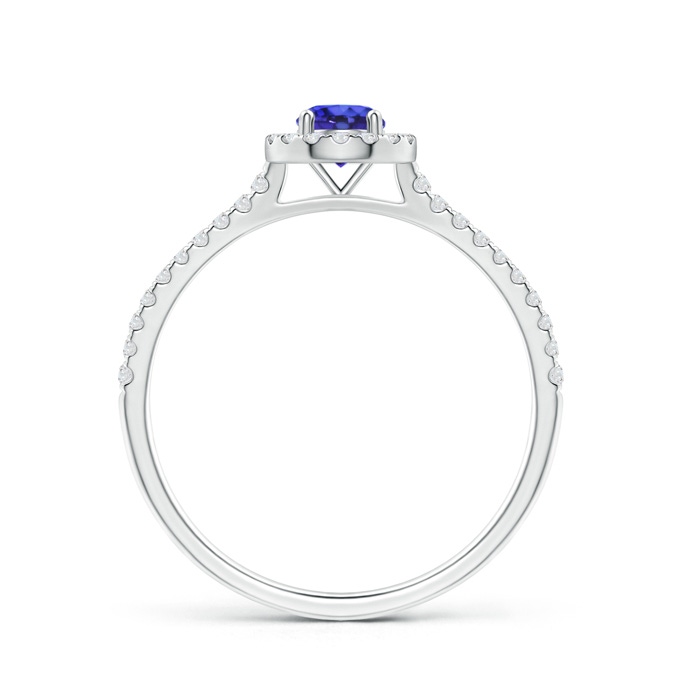4mm AAAA Floating Tanzanite Halo Ring with Diamond Accents in P950 Platinum side-1
