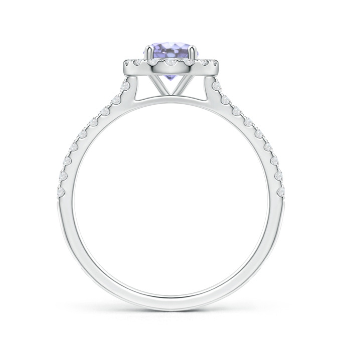 5mm A Floating Tanzanite Halo Ring with Diamond Accents in P950 Platinum side-1