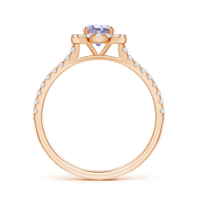 5mm A Floating Tanzanite Halo Ring with Diamond Accents in Rose Gold side-1