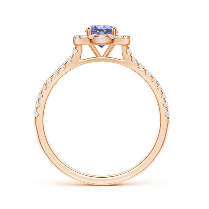 5mm AA Floating Tanzanite Halo Ring with Diamond Accents in Rose Gold side-1