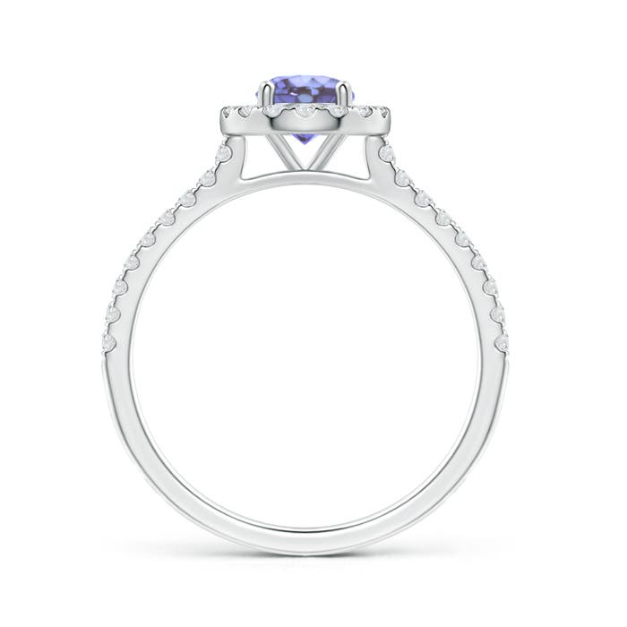 AA - Tanzanite / 0.77 CT / 14 KT White Gold